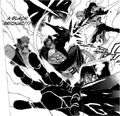 Thumbnail for version as of 09:35, July 16, 2011