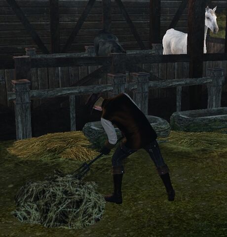 File:Stablemaster.jpg