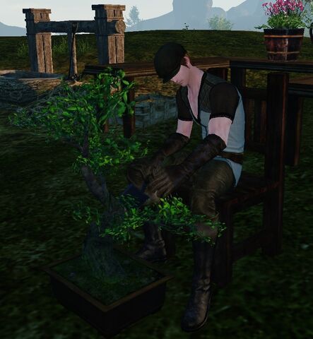 File:Tree vend.jpg