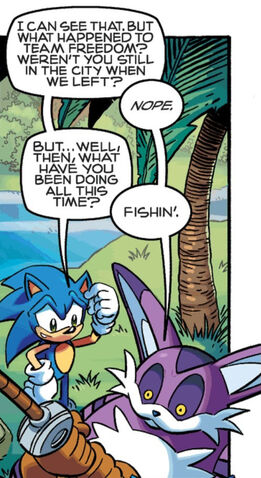 File:Sonic and Big Reunion.jpg
