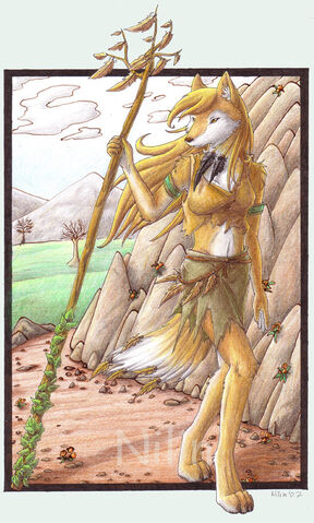 File:Wolf Druid.jpg