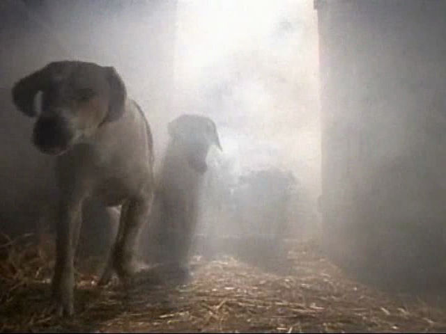 File:Vlcsnap-2014-09-30-23h37m28s55.png