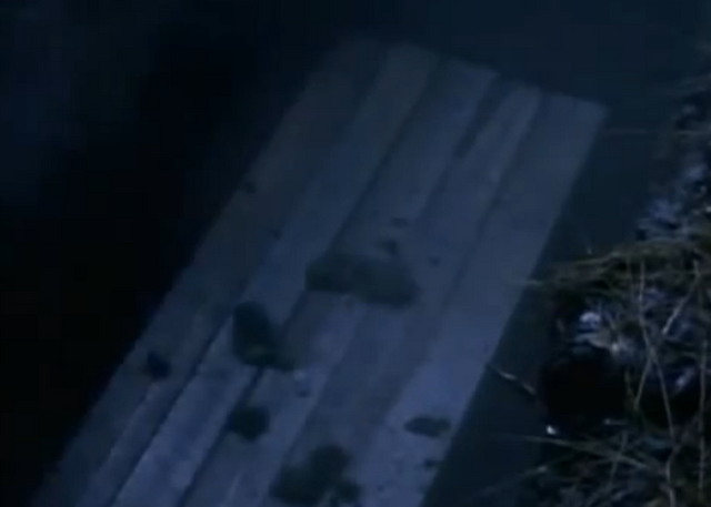 File:Dreammachinegettingburied.png