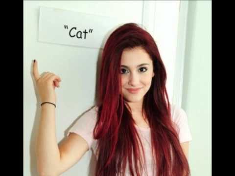 File:Cat n.jpg