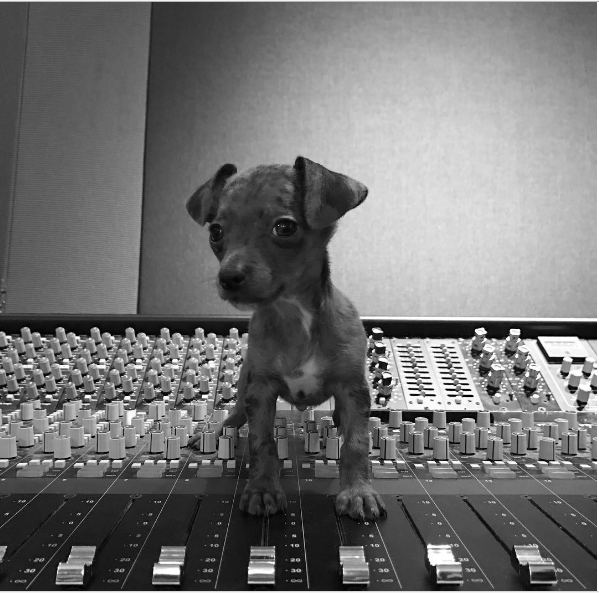 Pignoli | Ariana Grande Wiki | FANDOM powered by Wikia