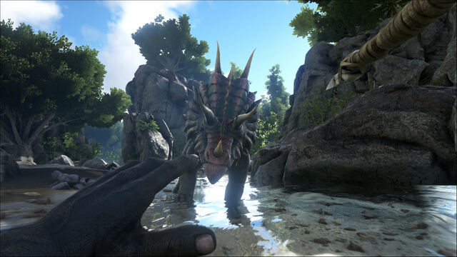 File:ARK9.jpg