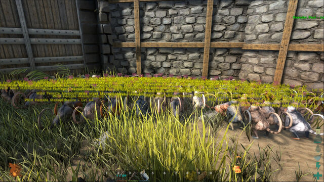 File:ARK-Mesopithecus Screenshot 010.jpg