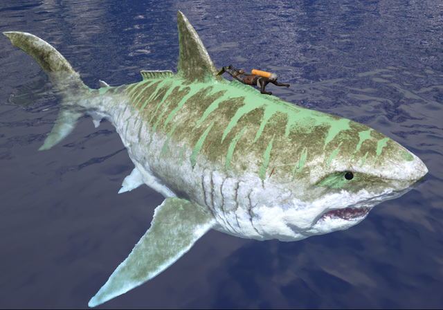 File:800px-Sharky Size.png