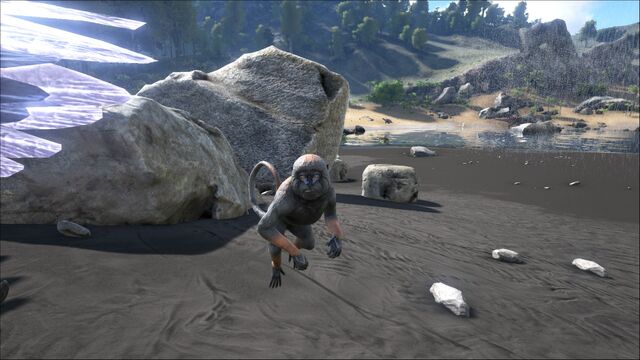 File:ARK-Mesopithecus Screenshot 012.jpg