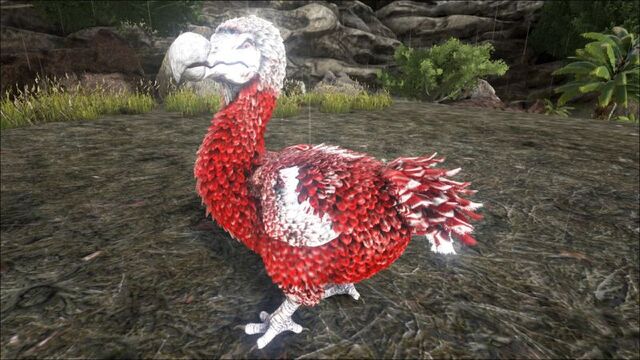 File:800px-Dodo PaintRegion0.jpg