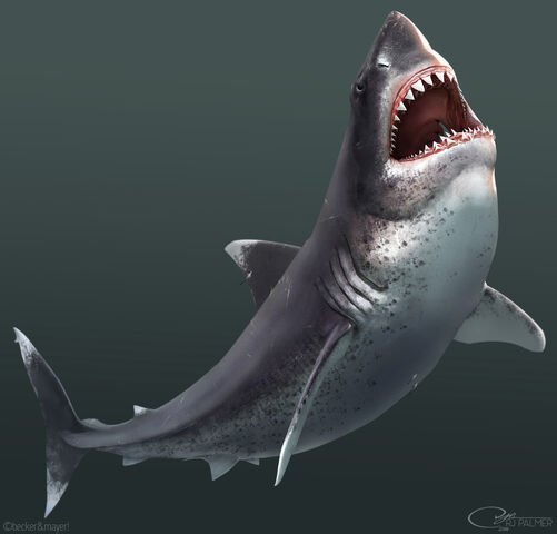 File:Tumblr oe6rewU4AR1qff956o1 1280.jpg