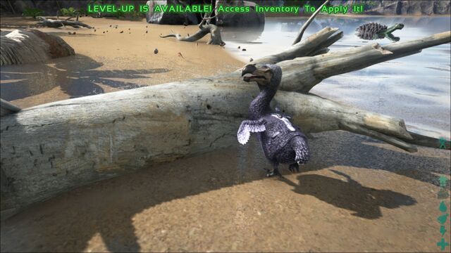 File:ARK-Dodo Screenshot 004.jpg