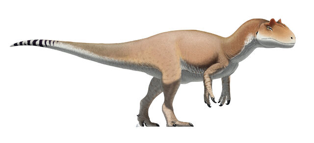 File:Allosaurus Revised.jpg