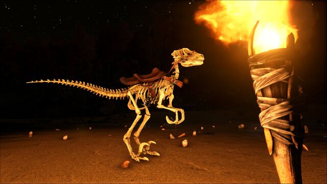 File:ARK-Skelesaur Raptor 001.jpg