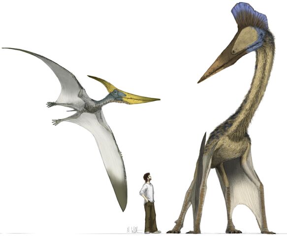 File:Hatzegopteryx.jpg
