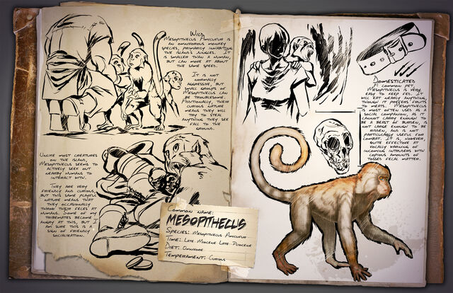 File:Mesopithecus.jpg