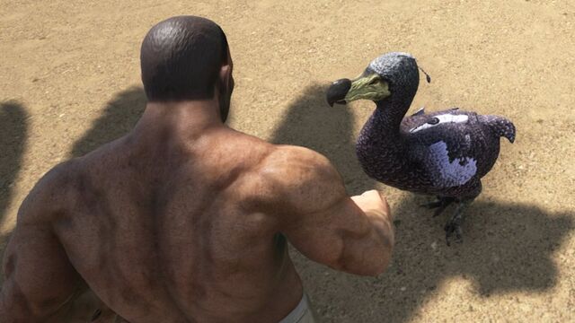 File:ARK-Dodo Screenshot 001.jpg