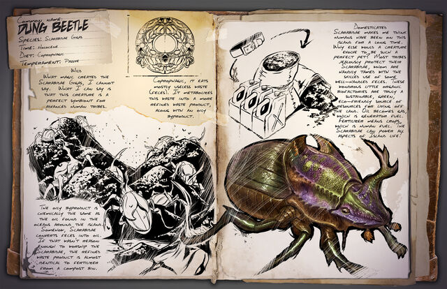 File:Dung Beetle Dossier.jpg