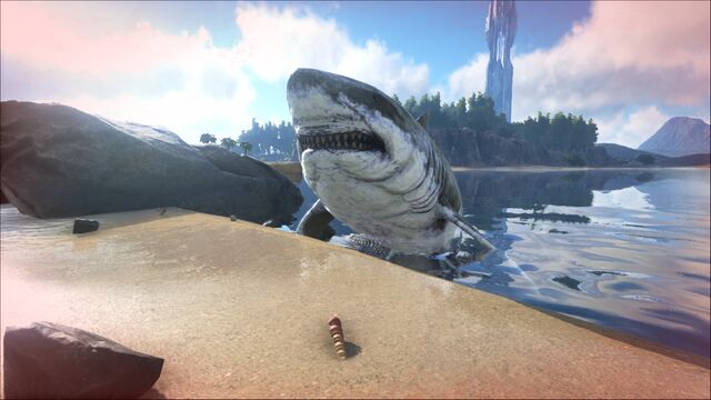 File:ARK-Megalodon Screenshot 003.jpg