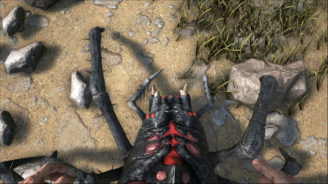 File:ARK-Araneomorphus Screenshot 004.jpg