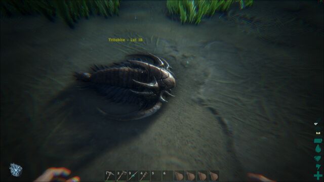 File:ARK-Trilobite Screenshot 002.jpg