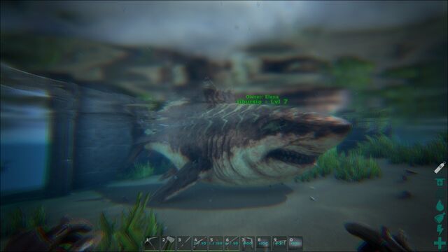 File:ARK-Megalodon Screenshot 004.jpg