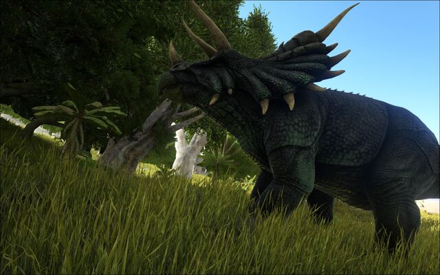 File:ARK-Triceratops Screenshot 007.jpg
