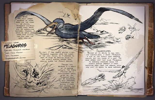 File:800px-Pelagornis Dossier.jpg