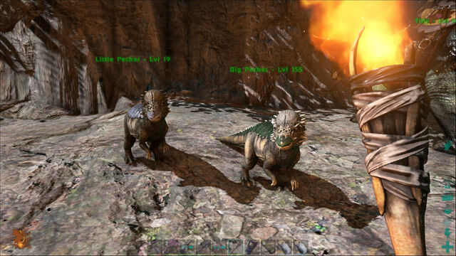 File:ARK-Pachycephalosaurus Screenshot 008.jpg
