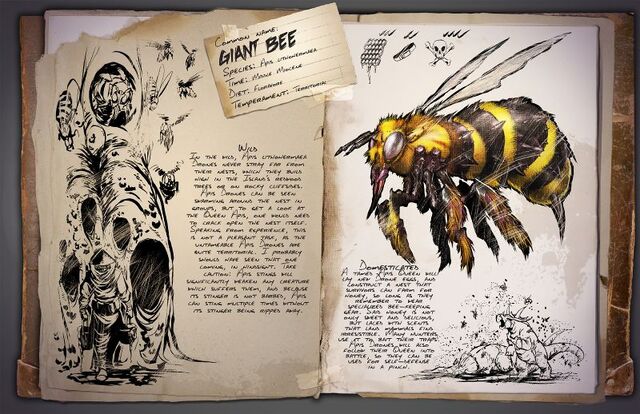 File:800px-Dossier GiantBee.jpg