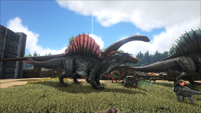 File:My 1st Spino.jpg