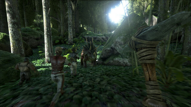 File:ARK13.jpg