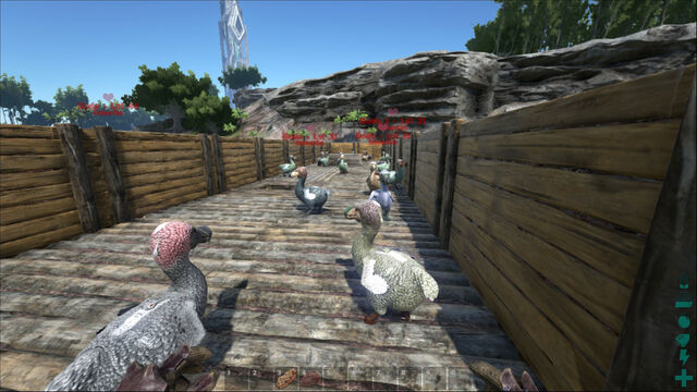 File:ARK-Dodo Screenshot 003.jpg