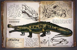 Crocodile