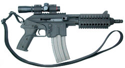 Plr16 03