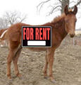 Thumbnail for version as of 14:55, September 6, 2010