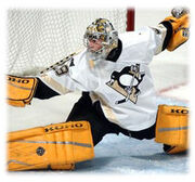 Marc-Andre Fleury23