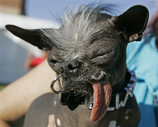 File:Dogg.jpg