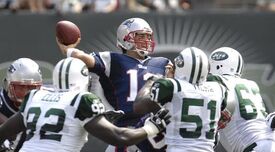 Bradyvsjets