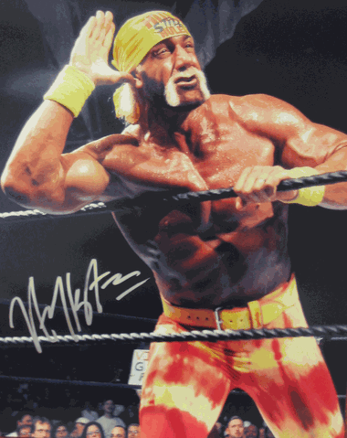 File:Hulkhogan.gif