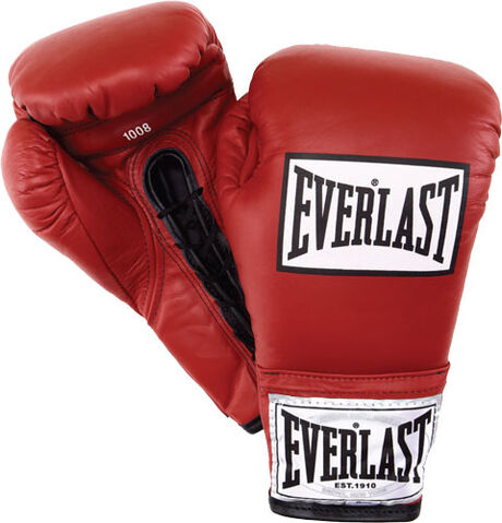 File:Everlast-boxing-international-professional-fight-gloves.jpg