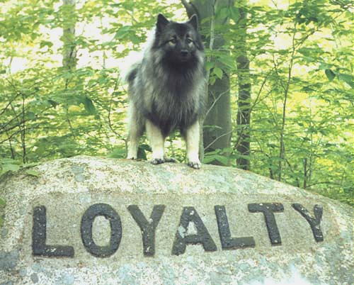 File:1196274447 Loyalty3.jpg