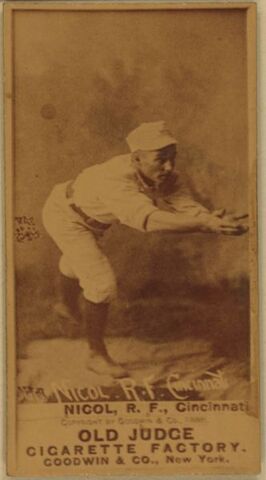 File:Player profile Hugh Nicol.jpg