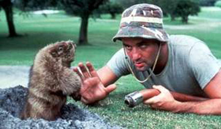 File:1187296834 Caddyshack.jpg