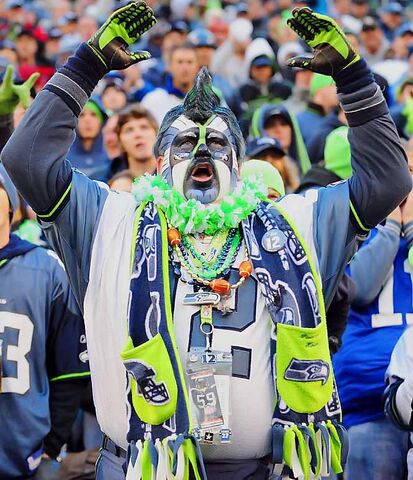 File:Hawksfan.jpg