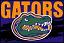 File:FLgators2.jpeg