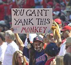 Yankmonkey