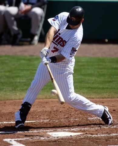 File:Mauer2010twins.jpg