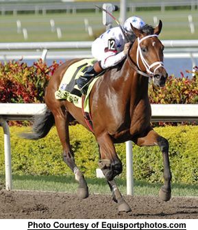 File:BigBrown.jpg