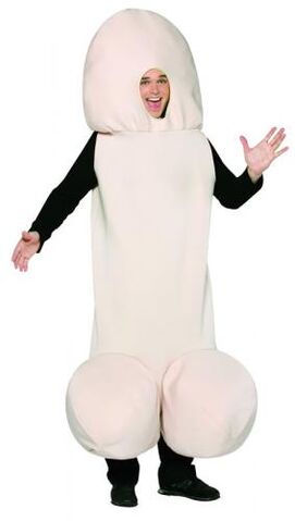 File:Arodcostume1.jpg